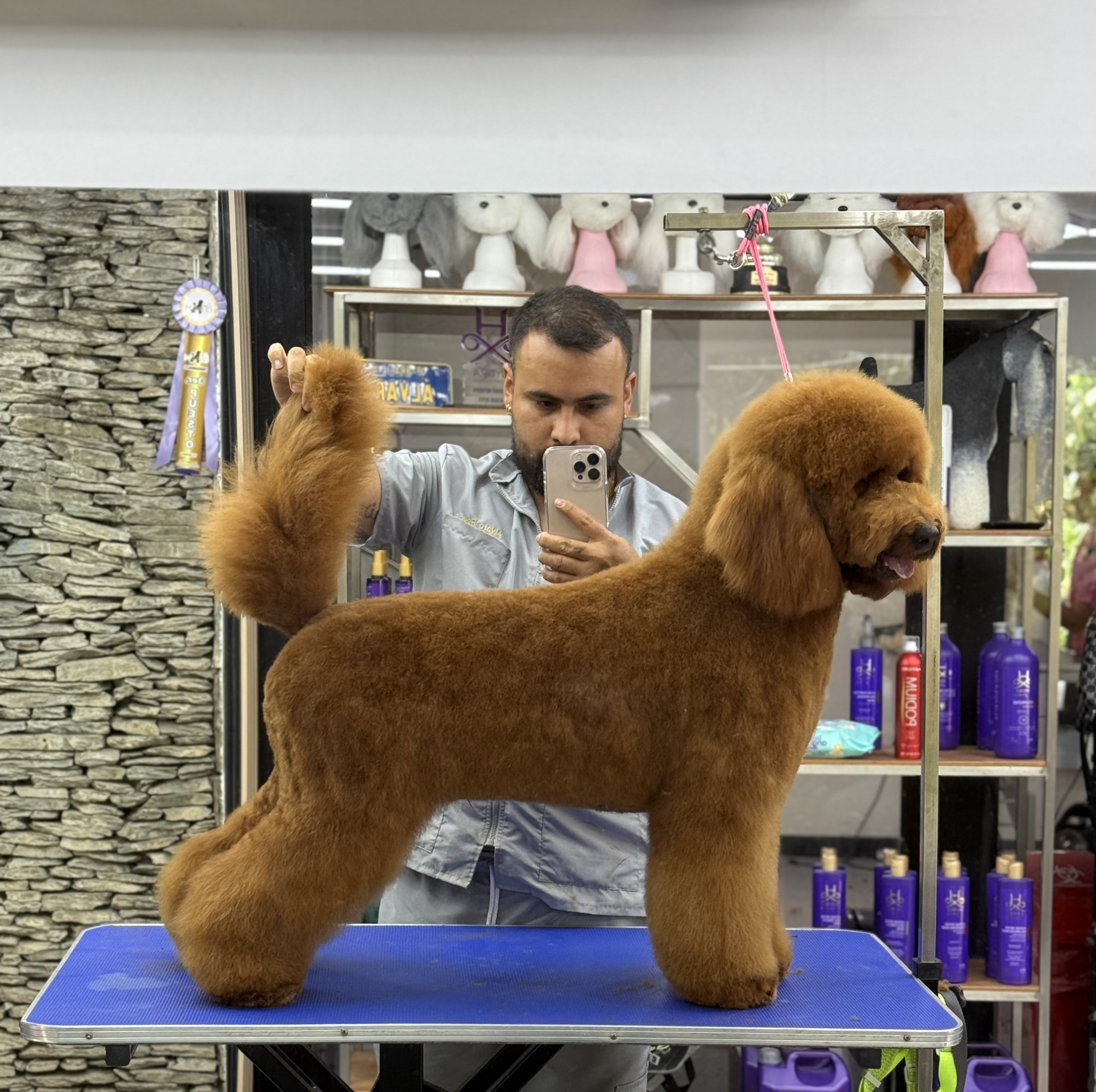 Peluquería canina profesional - Poblado Dogs